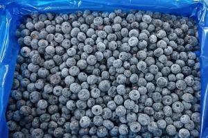 Arandano Ventura - SATHIRI ACARI SAC